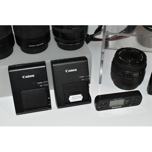 487 - A BOX OF CANON CAMERAS AND LENSES, to include, Canon EOS 1200D fitted with a Canon zoom lens 28-80mm... 