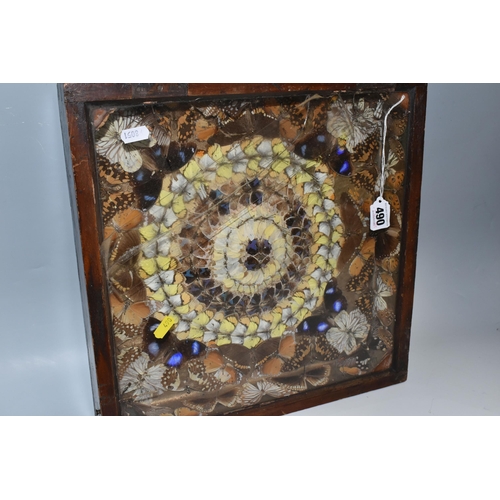 490 - A VICTORIAN GLAZED CASED TAXIDERMY BUTTERYFLY DISPLAY, a circular display of blue, brown and yellow ... 