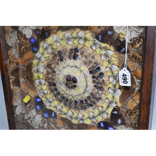 490 - A VICTORIAN GLAZED CASED TAXIDERMY BUTTERYFLY DISPLAY, a circular display of blue, brown and yellow ... 