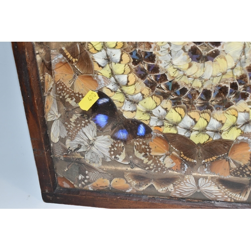 490 - A VICTORIAN GLAZED CASED TAXIDERMY BUTTERYFLY DISPLAY, a circular display of blue, brown and yellow ... 