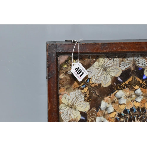 491 - A VICTORIAN GLAZED CASED TAXIDERMY BUTTERFLY DISPLAY, a circular display of white, brown and blue bu... 