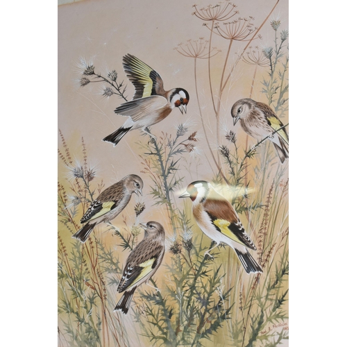 408 - PAUL A. NICHOLAS (BRITISH 1943-2017) 'GOLDFINCHES & YOUNG ON THISTLES', five birds on wild plants, s... 