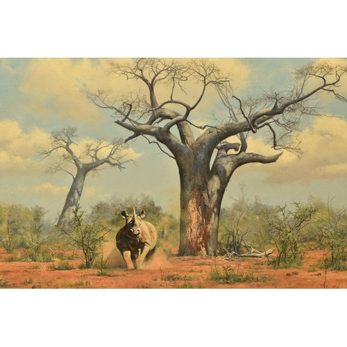 301 - ANTHONY GIBBS (BRITISH 1951) A RHINOCEROS AND BAOBAB TREES, an African landscape, signed bottom left... 