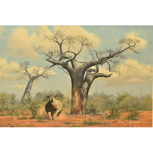 301 - ANTHONY GIBBS (BRITISH 1951) A RHINOCEROS AND BAOBAB TREES, an African landscape, signed bottom left... 