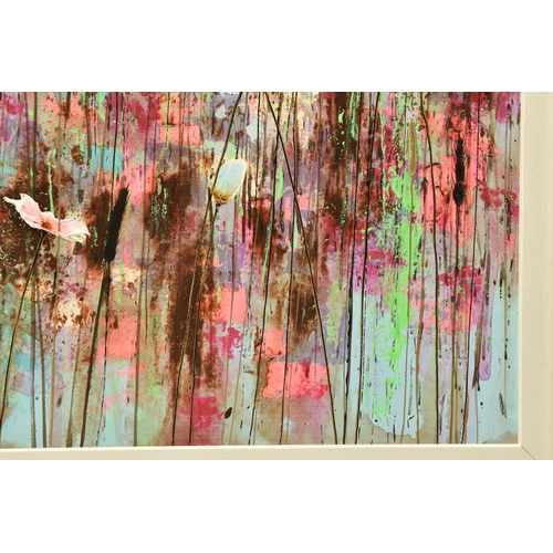 310 - JO STARKEY (BRITISH CONTEMPORARY) 'SWEETNESS & LIGHT', a meadow of wild flowers, signed bottom left,... 