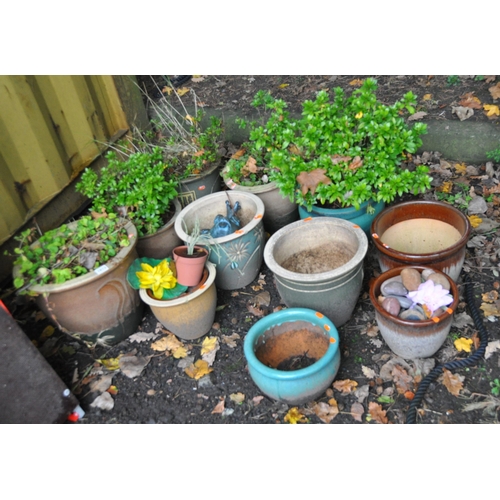 1013 - A COLLECTION OF TWELVE MODERN GLAZED PLANT POTS of various colours and sizes the largest being 37cm ... 