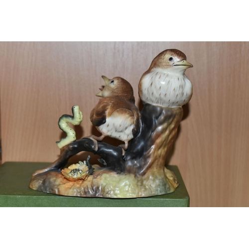 318 - A PAIR OF ''CHELSEA BIRDS'' AND A ROYAL CROWN DERBY THRUSH CHICKS ORNAMENT comprising a boxed Royal ... 