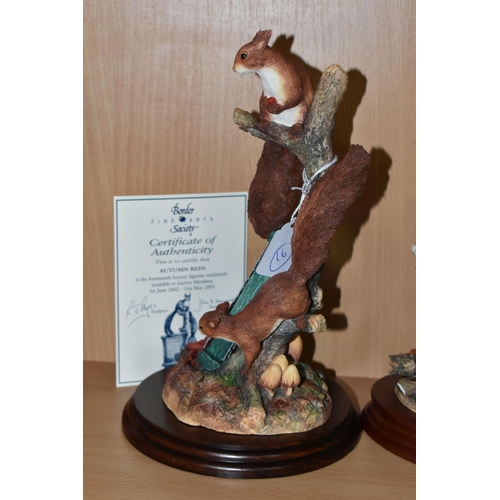 327 - TWO BORDER FINE ARTS LIMITED EDITION RED SQUIRREL SCULPTURES, comprising 'Autumn Reds' exclusively a... 