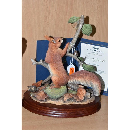 327 - TWO BORDER FINE ARTS LIMITED EDITION RED SQUIRREL SCULPTURES, comprising 'Autumn Reds' exclusively a... 