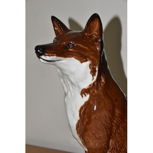 343 - A LARGE BESWICK FIRESIDE FOX, model no 2348, red/brown glaze, height 31cm (1) (Condition Report: app... 