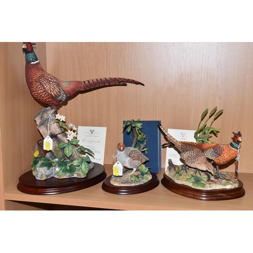 347 - THREE BORDER FINE ARTS GAMEBIRDS SCULPTURES, comprising 'Stepping Out' B1019, depicting a pair of ph... 