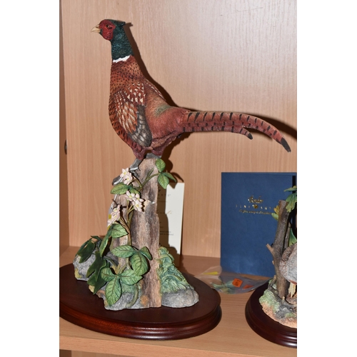 347 - THREE BORDER FINE ARTS GAMEBIRDS SCULPTURES, comprising 'Stepping Out' B1019, depicting a pair of ph... 