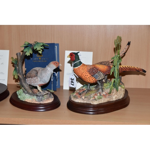 347 - THREE BORDER FINE ARTS GAMEBIRDS SCULPTURES, comprising 'Stepping Out' B1019, depicting a pair of ph... 