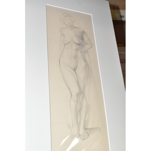 529 - FOUR NUDE FEMALE FIGURE STUDIES ON PAPER, comprising Olive F. Openshaw standing nude pencil sketch s... 