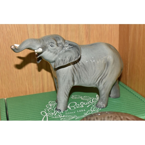 426 - A BOXED BESWICK ELEPHANT AND A BESWICK BISON FIGURE, comprising Elephant - Trunk Stretching - Small,... 