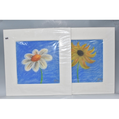 444 - KELLY JANE (BRITISH 1971)  TWO PASTEL STUDIES OF FLOWERS,  one with yellow petals and the other with... 