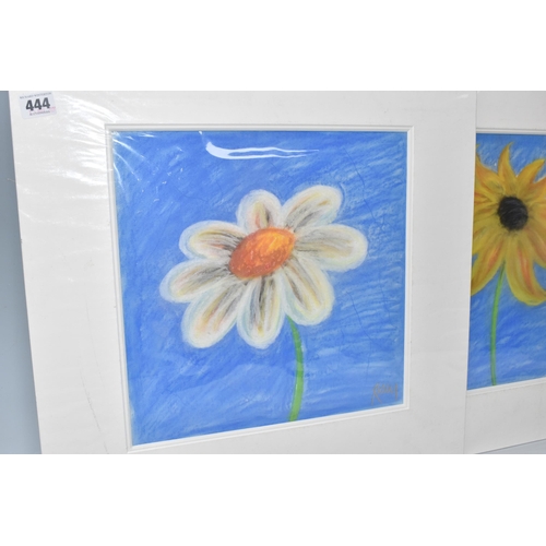 444 - KELLY JANE (BRITISH 1971)  TWO PASTEL STUDIES OF FLOWERS,  one with yellow petals and the other with... 