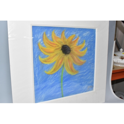 444 - KELLY JANE (BRITISH 1971)  TWO PASTEL STUDIES OF FLOWERS,  one with yellow petals and the other with... 