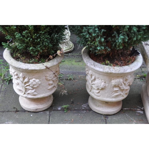 1014 - A PAIR OF WEATHERED PAINTED COMPOSITE GARDEN PLANTERS, diameter 41cm x height 45cm, each containing ... 