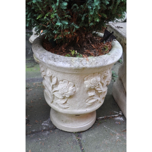 1014 - A PAIR OF WEATHERED PAINTED COMPOSITE GARDEN PLANTERS, diameter 41cm x height 45cm, each containing ... 