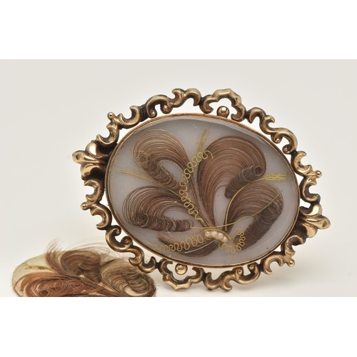 62 - A LARGE YELLOW METAL HAIR WORK BROOCH, of an oval form, inlayed with brown hair work detailed with y... 