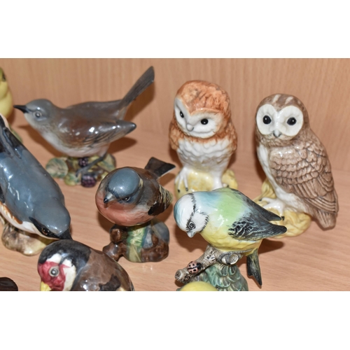 342 - FOURTEEN BESWICK BIRDS, comprising Nuthatch no 2413, Grey Wagtail no 1041, Robin no 980 (tail restor... 