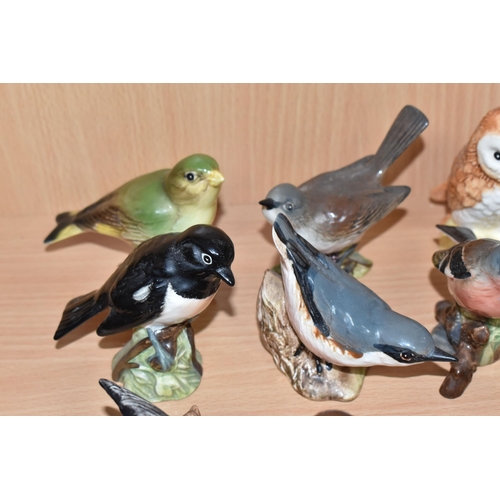 342 - FOURTEEN BESWICK BIRDS, comprising Nuthatch no 2413, Grey Wagtail no 1041, Robin no 980 (tail restor... 