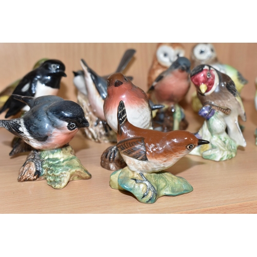 342 - FOURTEEN BESWICK BIRDS, comprising Nuthatch no 2413, Grey Wagtail no 1041, Robin no 980 (tail restor... 