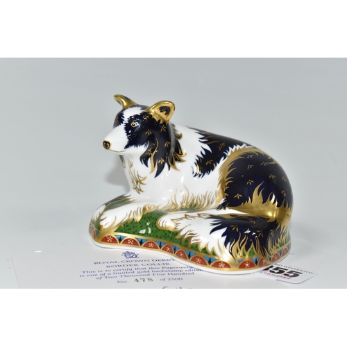 355 - A LIMITED EDITION ROYAL CROWN DERBY BORDER COLLIE PAPERWEIGHT, with certificate numbered 478/2500, g... 