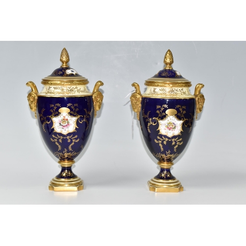 362 - A PAIR OF COALPORT COVERED VASES, of urn form with twin gilt ram's head handles, on a square pedesta... 