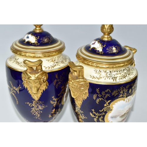 362 - A PAIR OF COALPORT COVERED VASES, of urn form with twin gilt ram's head handles, on a square pedesta... 