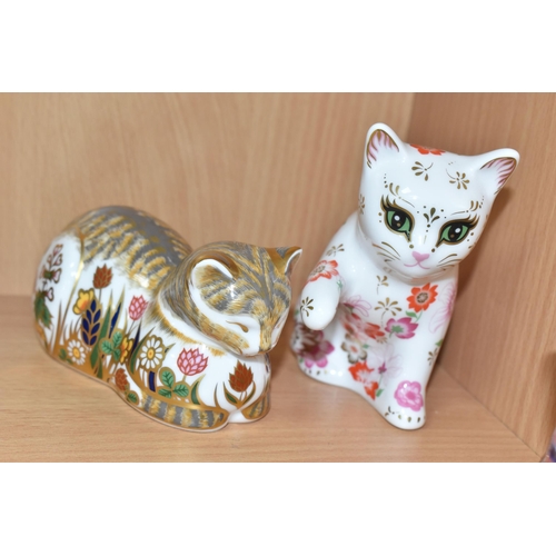 369 - A GROUP OF FIVE ROYAL CROWN DERBY CAT PAPERWEIGHTS, comprising of Misty Kitten an exclusive for coll... 