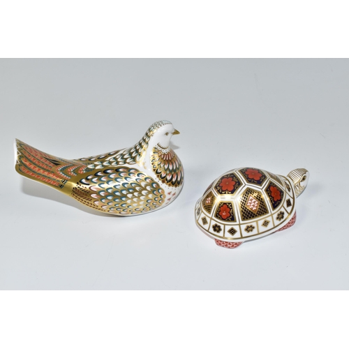 381 - TWO ROYAL CROWN DERBY PAPERWEIGHTS, comprising of  Turtle with gold stopper, Turtle Dove with gold s... 