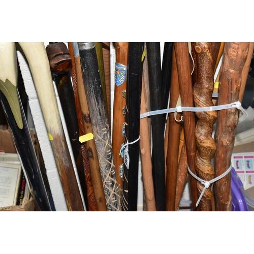 428 - A COLLECTION OF WALKING STICKS, twenty five sticks to include two sticks with handles in the form of... 