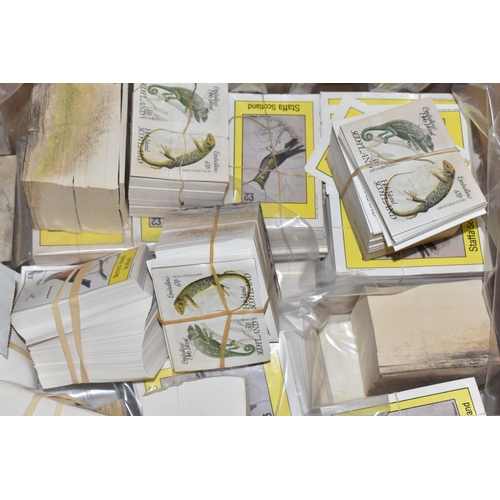 491 - FOUR BOXES OF 'CINDERELLA' AND 'LOCALS' STAMPS to include thousands of Bernera Islands, Scotland, Ey... 