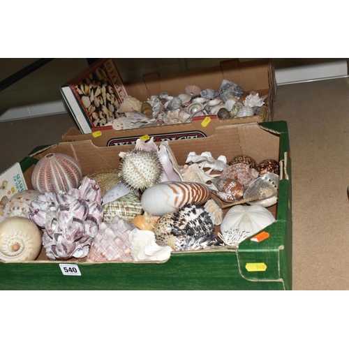 540 - TWO BOXES OF ASSORTED SEA SHELLS, to include a large quantity of shells, a puffer fish, sea urchin, ... 