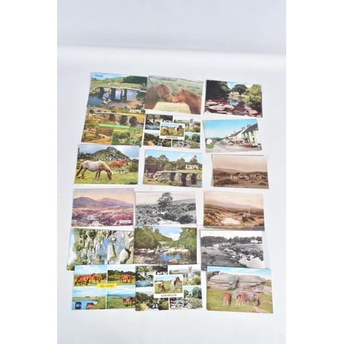 250 - A LARGE COLLECTION OF POSTCARDS, APPROXIMATELY 650-700 OF DARTMORE, DEVON, a great selection of topo... 