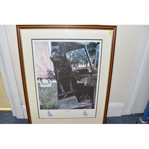 393 - FIVE SIGNED LIMITED EDITION BLACK LABRADOR PRINTS, comprising four Nigel Hemming prints 'In the driv... 