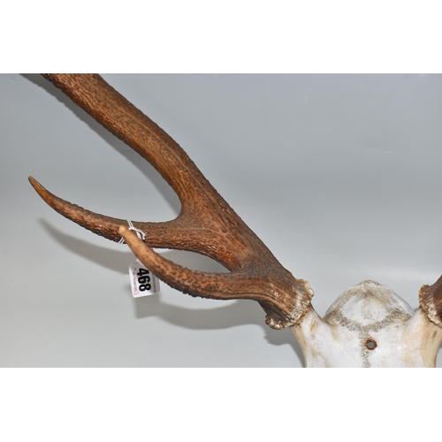 468 - A SET OF RED DEER ANTLERS, ten points with partial skull, hole drilled for mounting (1) (Condition R... 