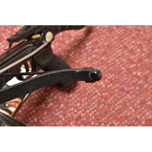 293 - AN AGLO ARMS COBRA SYSTEM CROSSBOW, width of bow 43.5cm, comes with an open pack of twelve 6 1/2 inc... 