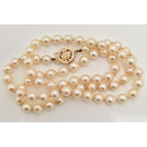 45 - A SINGLE STRAND OF CULTURED PEARLS, row of cream pearls with pink hues, individually knotted on a wh... 