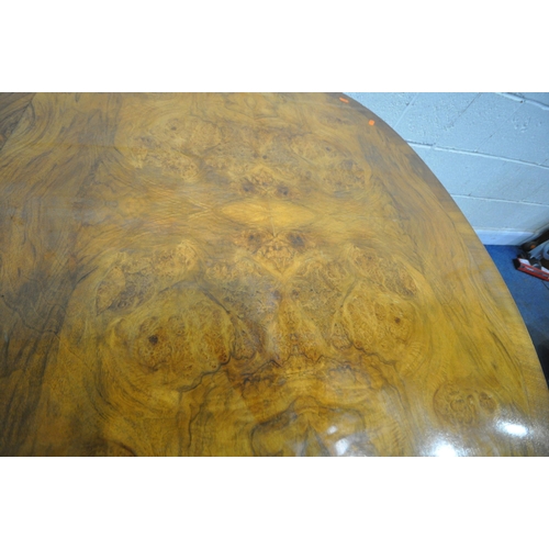 172 - A BURR WALNUT OVAL WIND OUT DINING TABLE, with two additional leaves, raised on cabriole legs, exten... 