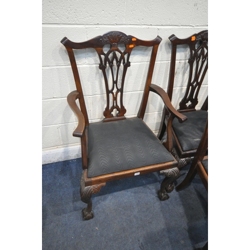 175 - A SET OF SIX CHIPPENDALE STYLE MAHOGANY DINING CHAIRS, including two carvers, with drop in seat pads... 