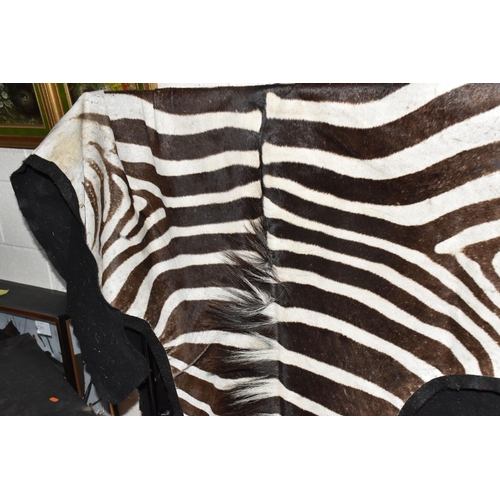 875 - A ZEBRA HIDE RUG, mounted on a black felt backing, approximate length 277cm x width 180cm at widest ... 