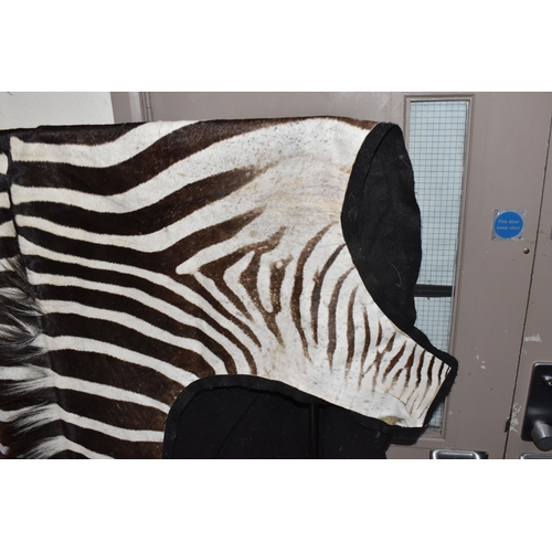 875 - A ZEBRA HIDE RUG, mounted on a black felt backing, approximate length 277cm x width 180cm at widest ... 