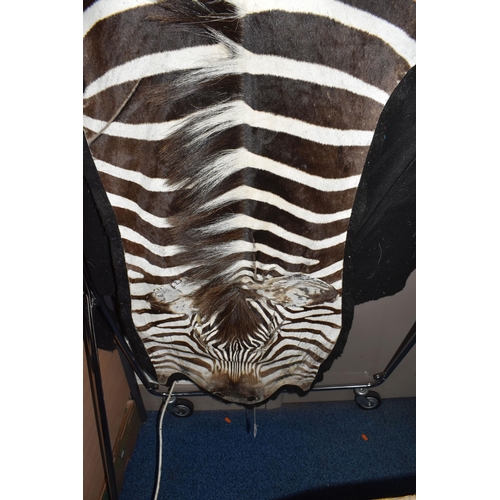 875 - A ZEBRA HIDE RUG, mounted on a black felt backing, approximate length 277cm x width 180cm at widest ... 