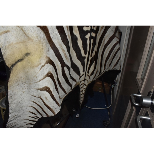 875 - A ZEBRA HIDE RUG, mounted on a black felt backing, approximate length 277cm x width 180cm at widest ... 