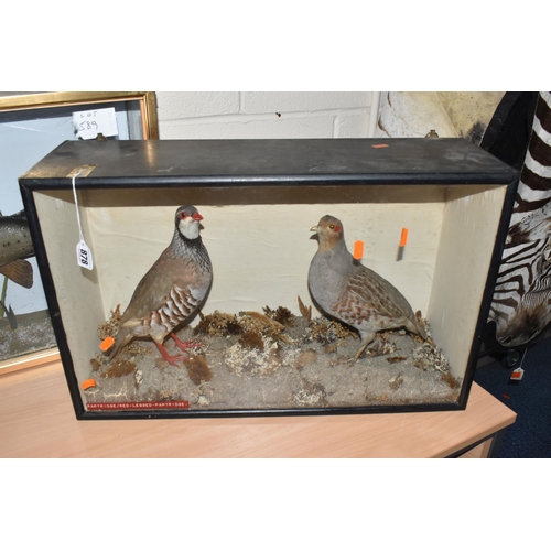 878 - A PAIR OF TAXIDERMY PARTRIDGES IN DISPLAY CASE, to include a red legged partridge and a partridge se... 