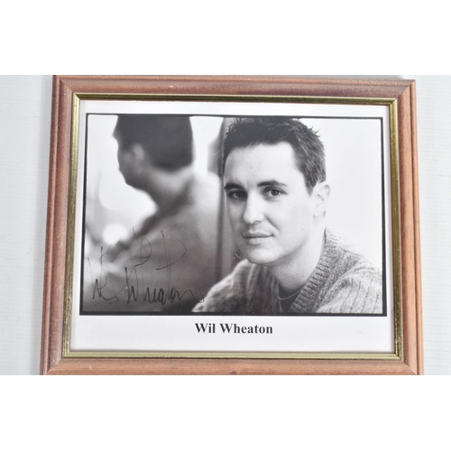 210 - A COLLECTION OF FRAMED SIGNED PHOTOGRAPHS OF ACTORS FROM STAR TREK, including Will Wheaton, George T... 