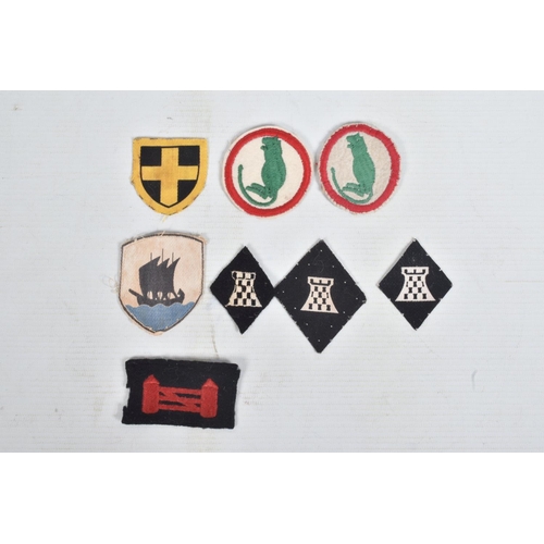 254 - RIKER DISPLAY CASE, containing  over 30 Formation patches to units including Northern Ireland Comman... 